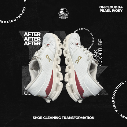 Cleaning Kit Shoelution