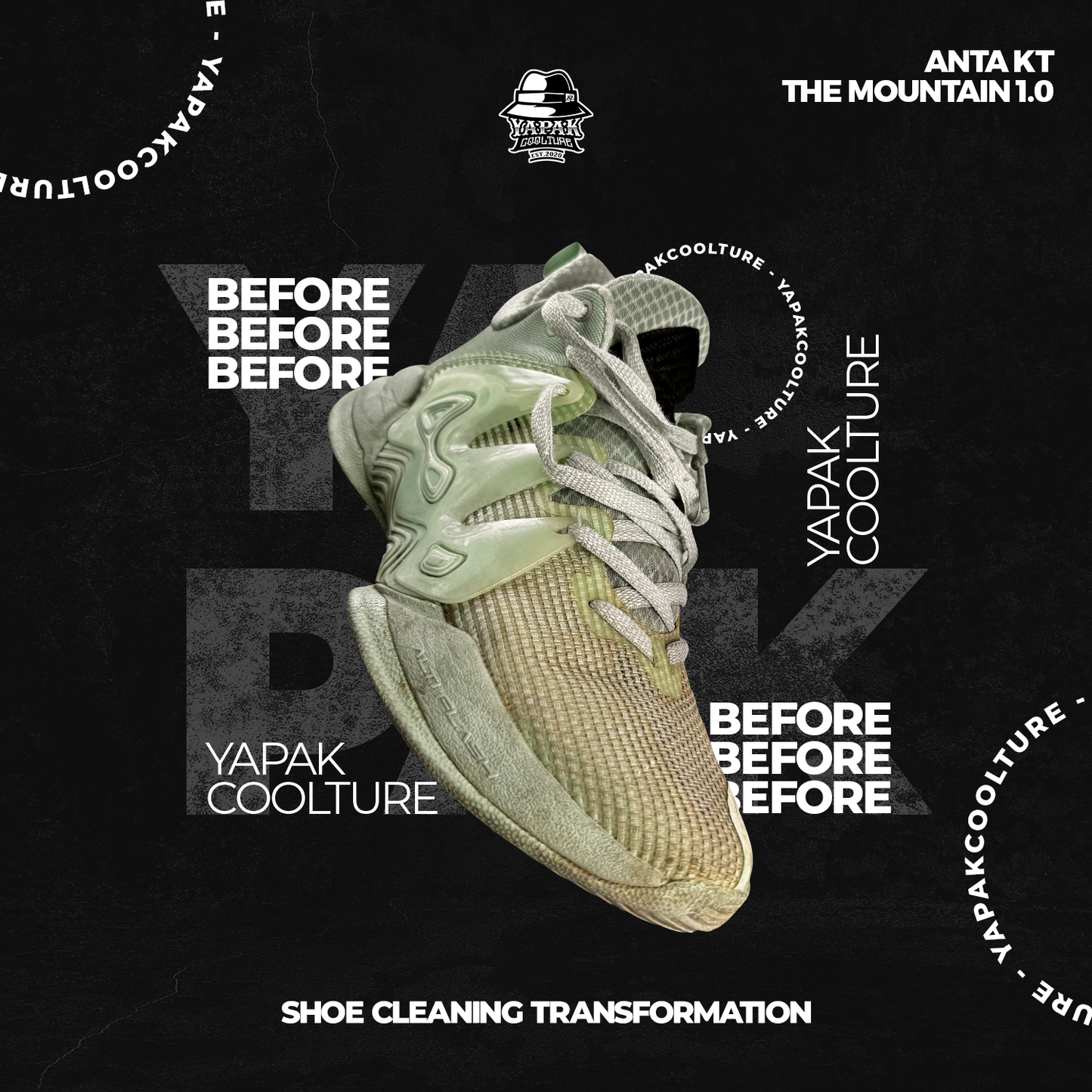 Premium Shoelution