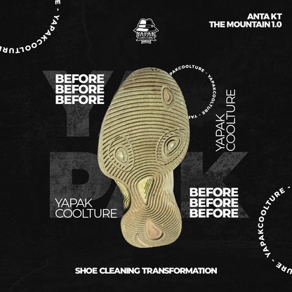Premium Shoelution